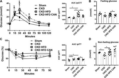 Mineralocorticoid Receptor Antagonism Prevents the Synergistic Effect of Metabolic Challenge and Chronic Kidney Disease on Renal Fibrosis and Inflammation in Mice